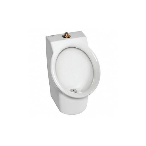 6042001EC.020 MINGITORIO DECORUM FLOWISE AMERICAN STANDARD