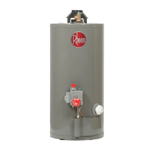 29V13HR/692210 CALENTADOR DE AGUA RHEEM TODO TERRENO LP - Tumatsa Leon