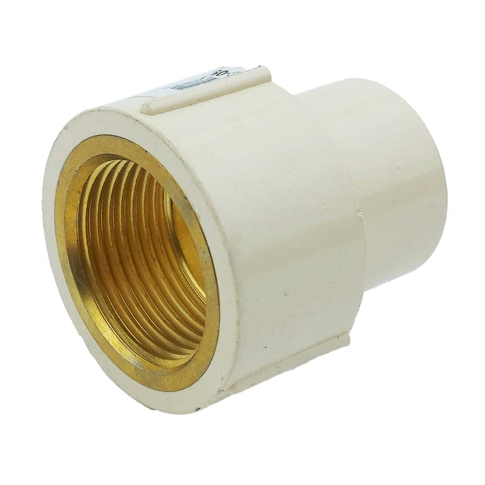 ADAP MACHO C/INSER BRONCE 25MM GOLD - Tumatsa Leon