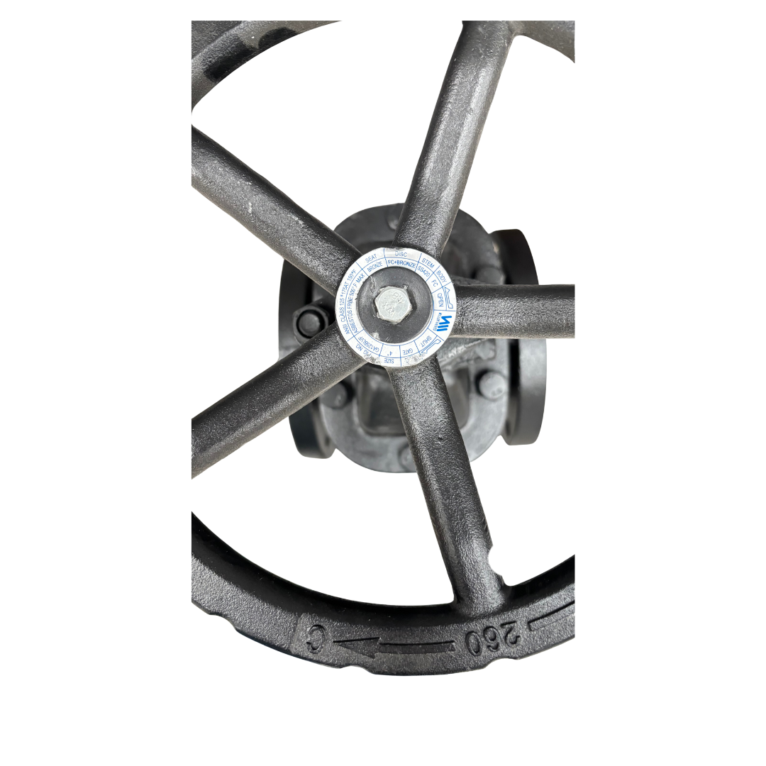 VALV. COMPUERTA BRIDADA V/F  64MM